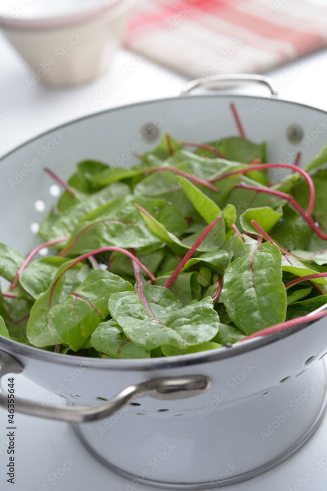 Red chard Red chard