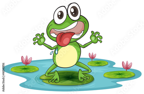 a frog and a water