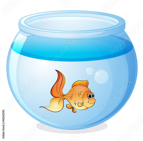 a fish and a bowl