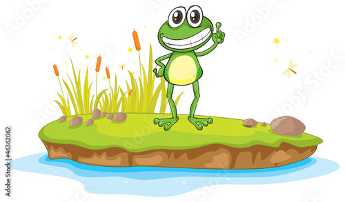 a frog and a water