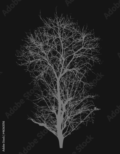 Dead Tree Vector