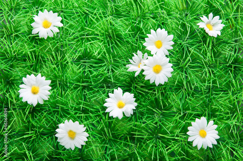 Artificial grass with Daisies