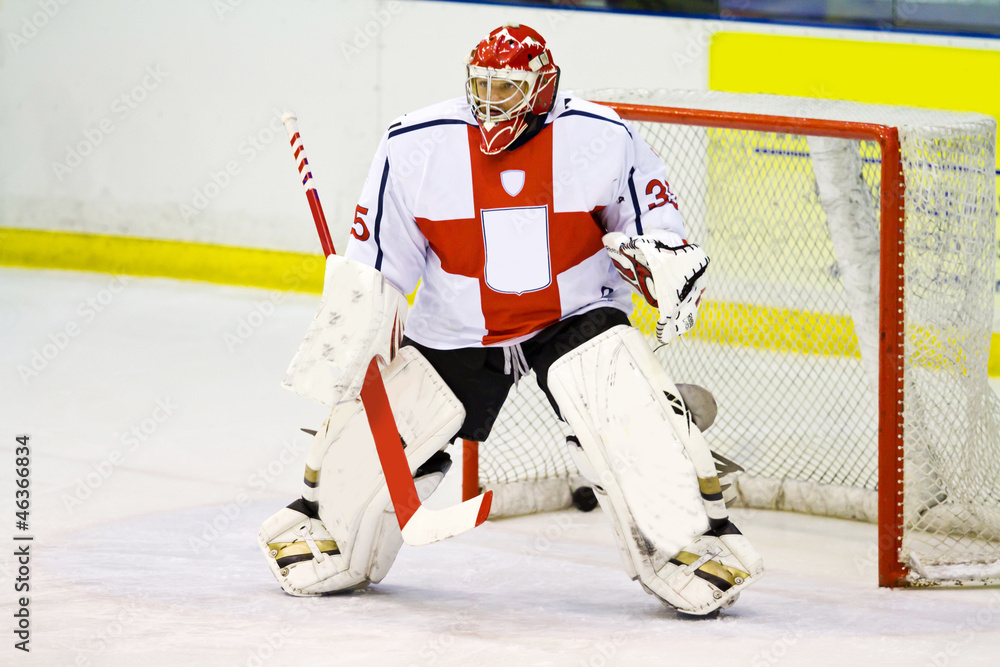 Fototapeta premium Ice hockey goalie