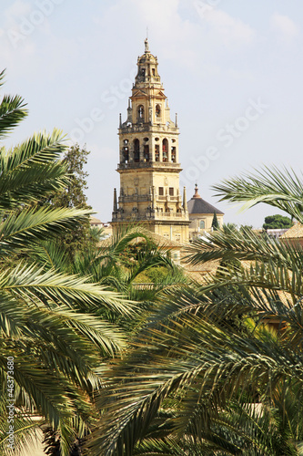 Mezquita - Corboba - Andaluasia - Spain 