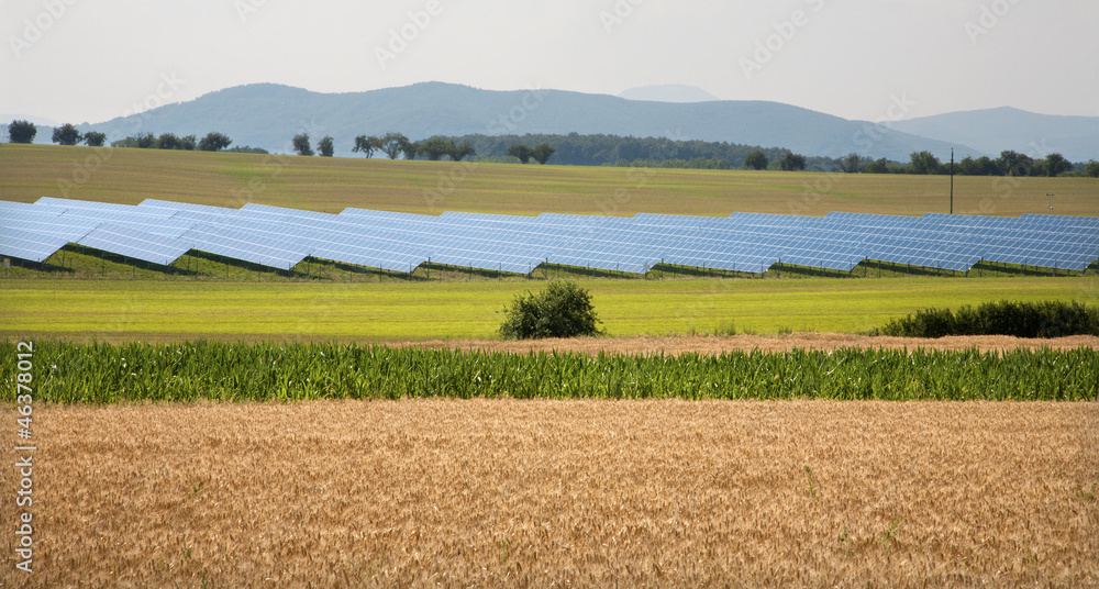 solar panels and field