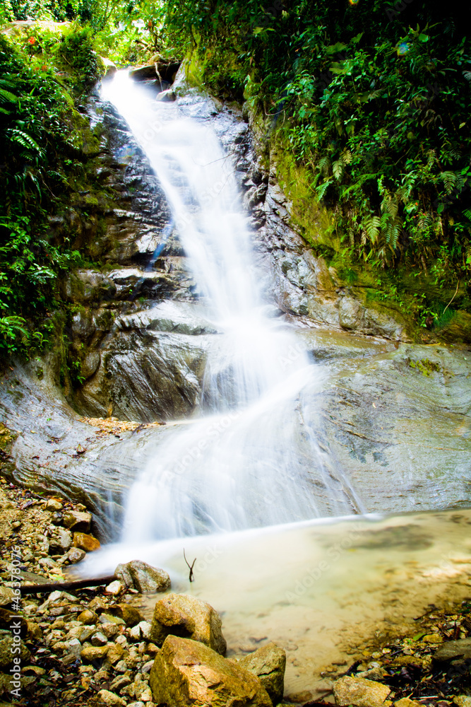 Obraz premium tropical rain forest with waterfall