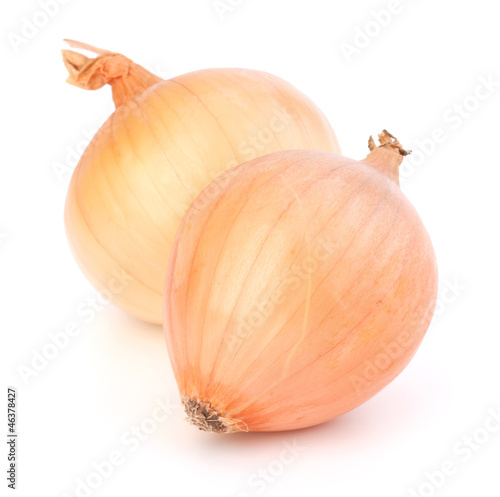 Wallpaper Mural Onion Torontodigital.ca