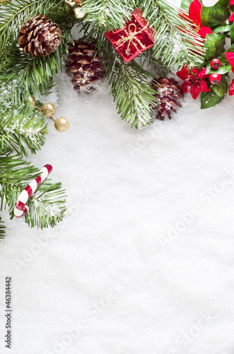 Christmas Border on Snow
