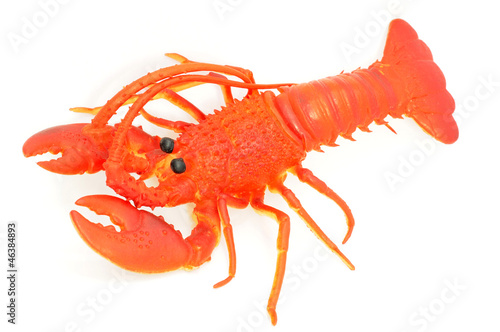 Toy of lobster