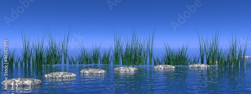 Peaceful nature scene