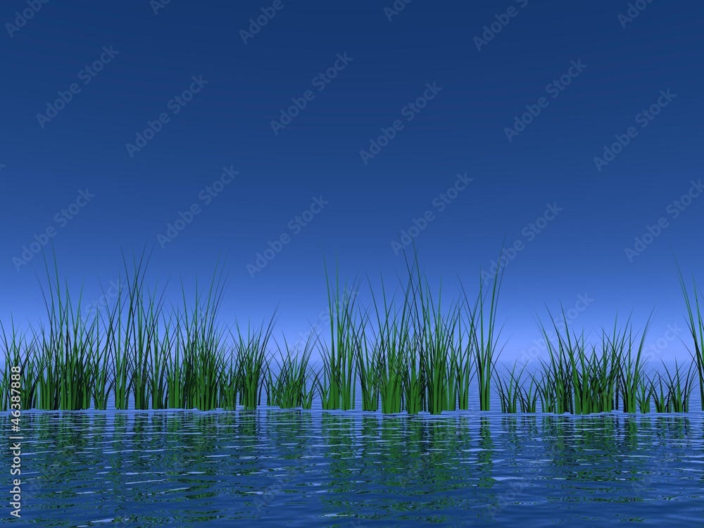 Fototapeta premium Peaceful nature