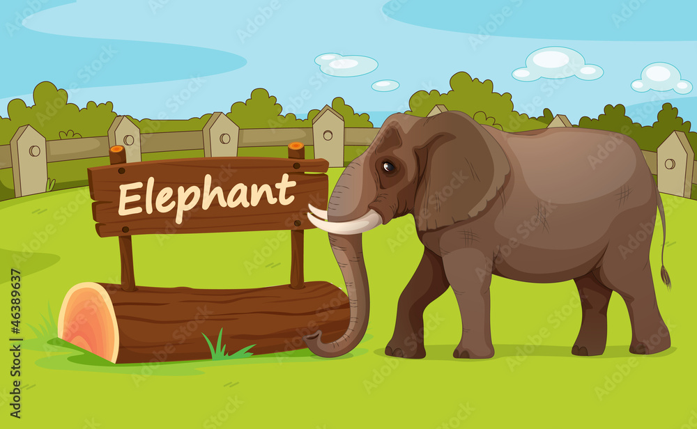 Naklejka premium Zoo animal