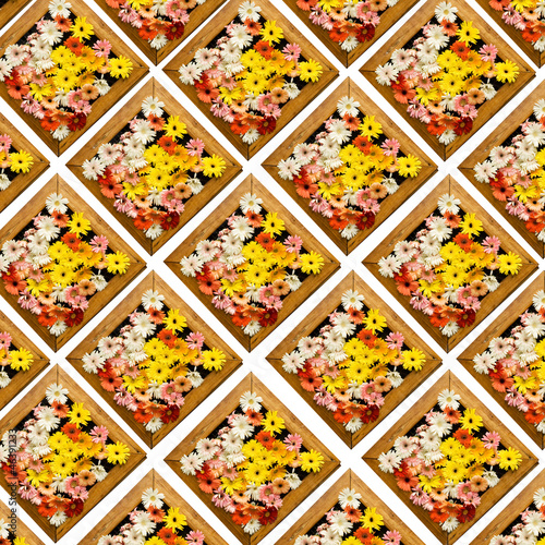 Fototapeta Naklejka Na Ścianę i Meble -  Collage with floral