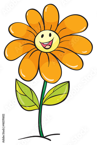 Fototapeta Naklejka Na Ścianę i Meble -  yellow flower