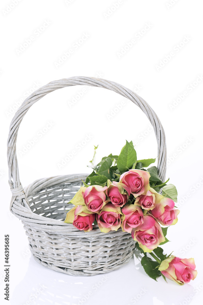 beautiful pink roses in Basket beautiful pink roses in Basket