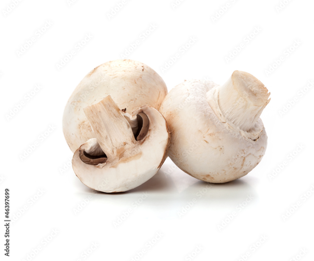 Fototapeta premium mushrooms on white
