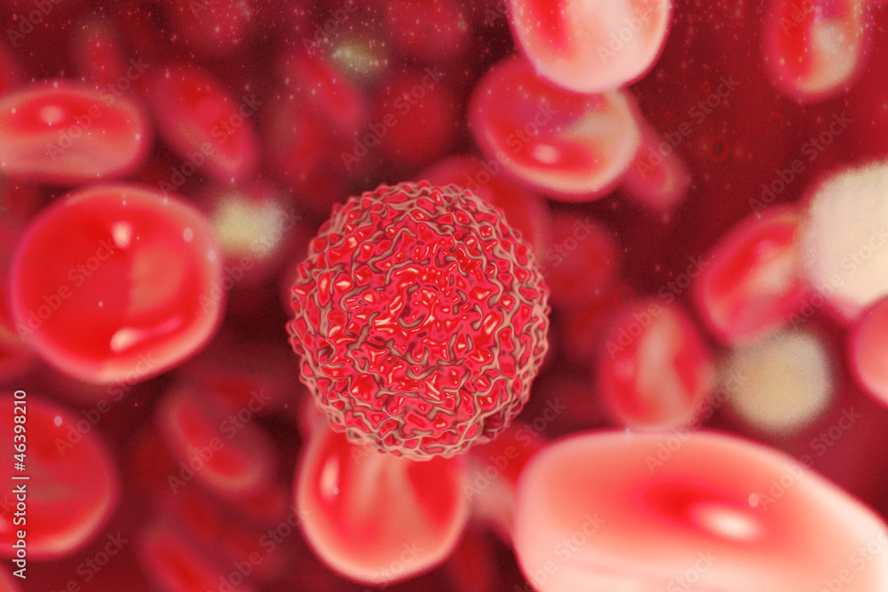 cancer cells , red blood cells,white blood cells in veins cancer cells , red blood cells,white blood cells in veins