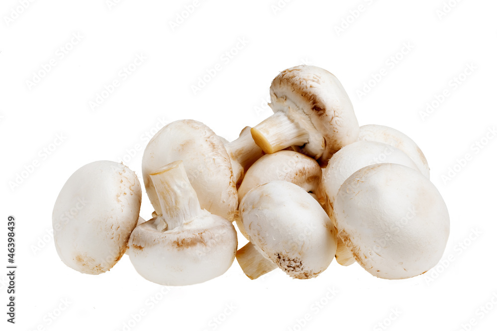 Fototapeta premium mushrooms isolated on white