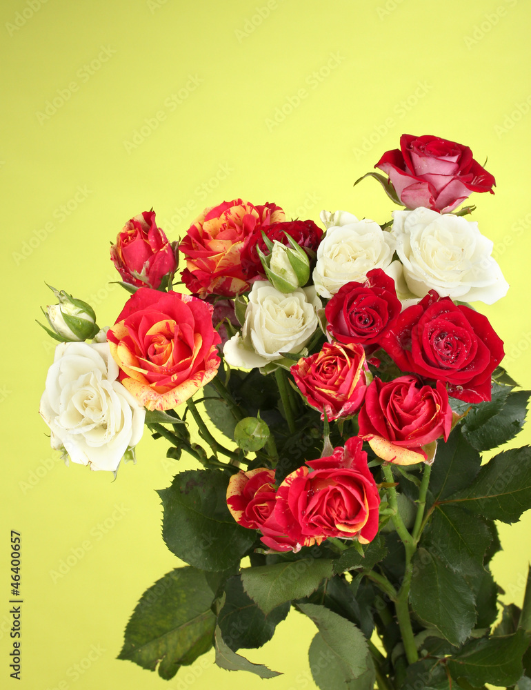 Bouquet of beautiful roses on green background close-up Bouquet of beautiful roses on green background close-up