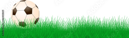 Fußball Gras Banner