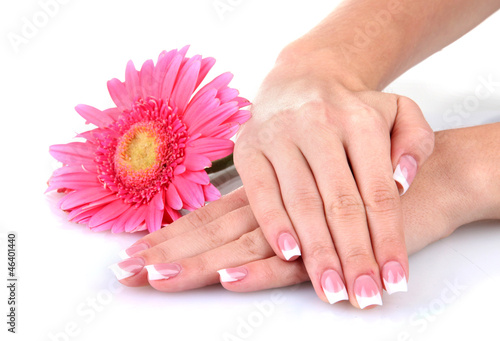 Woman hands with french manicure and flower isolated on white