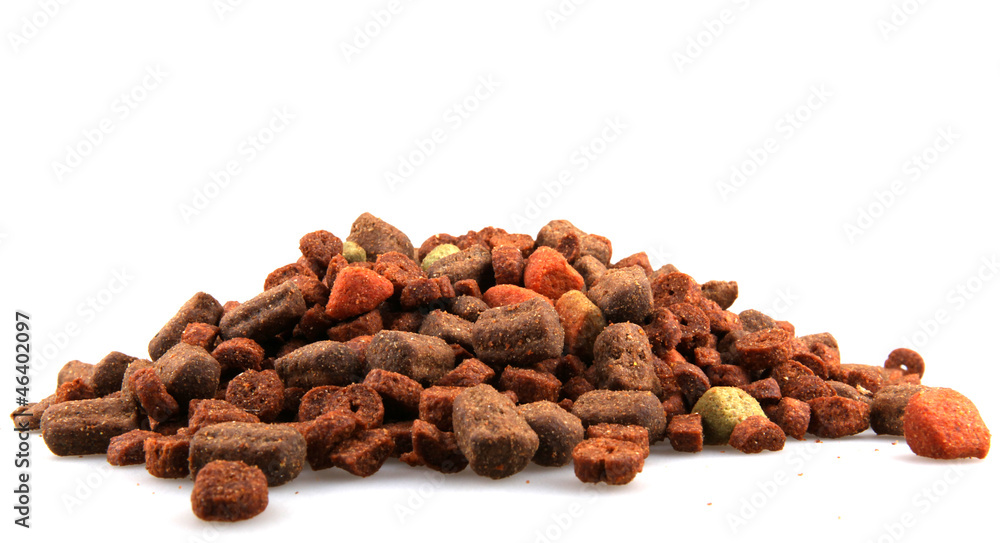 Obraz premium petfood