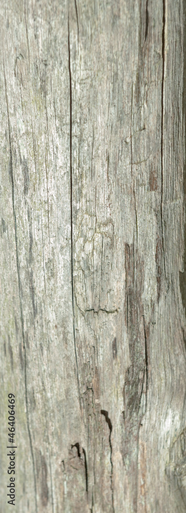 Wood planks Wood planks