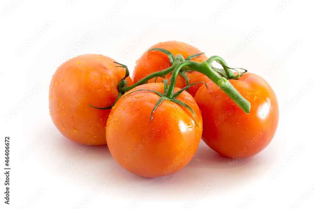 Branch of red tomatoes isolated on white background Branch of red tomatoes isolated on white background