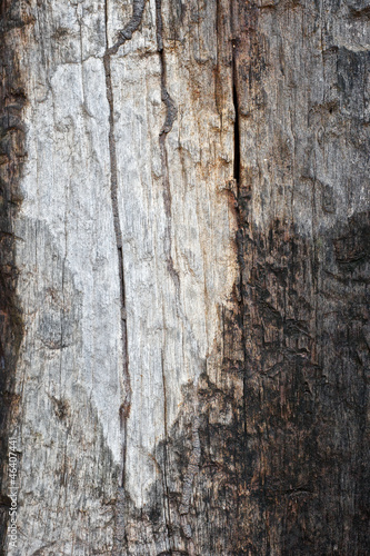 very old and dirty wood texture background