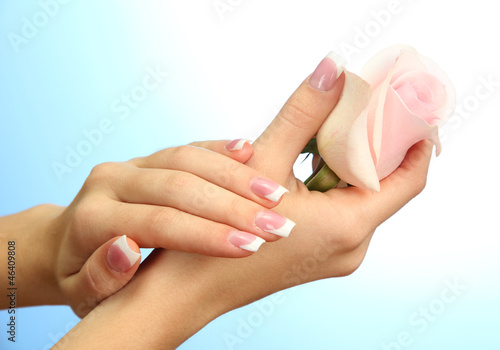 Beautiful woman hands with rose  on blue background