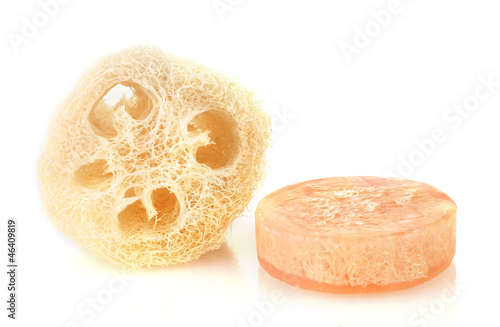 Obraz na płótnie Loofah isolated on white