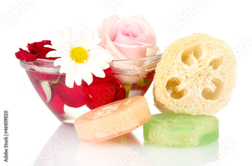 Obraz na płótnie Loofah isolated on white