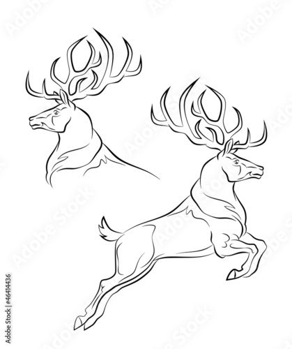 Swift deer