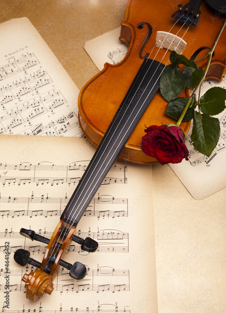 Naklejka premium Violin and rose