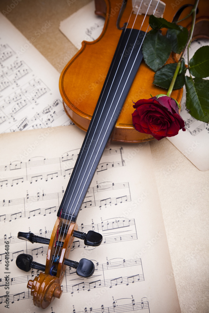 Naklejka premium Violin and rose