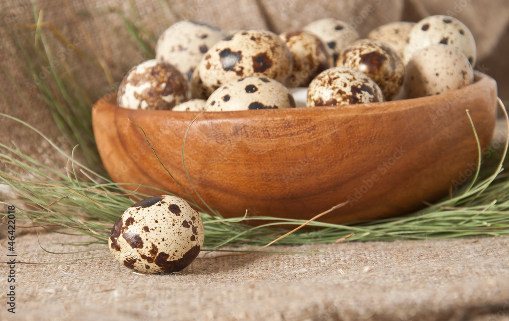 quail eggs in wooden bowl quail eggs in wooden bowl