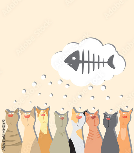Cats background 2