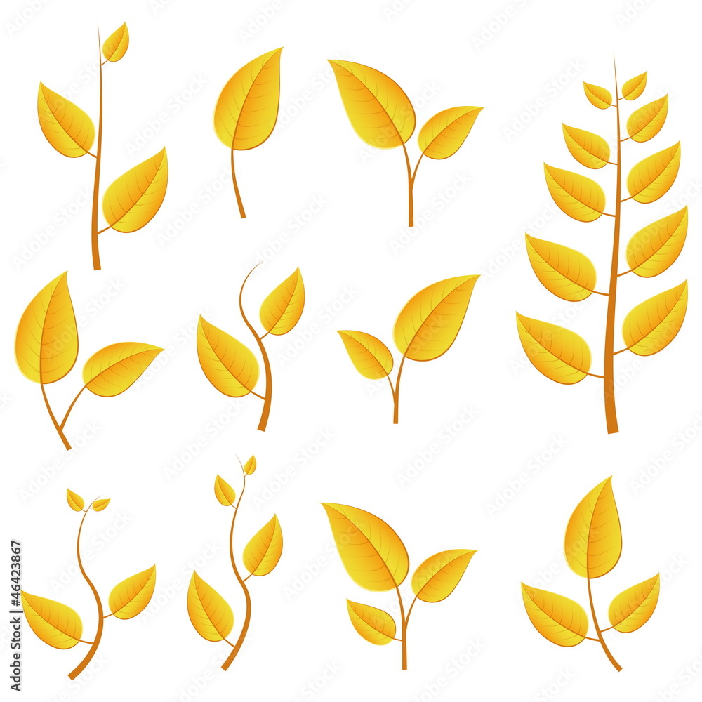 autumn leafs autumn leafs