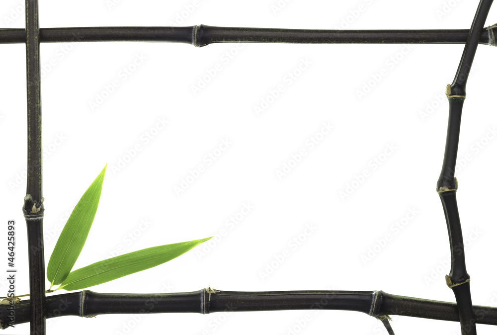 Black Bamboo leaves and stalks as frame Black Bamboo leaves and stalks as frame