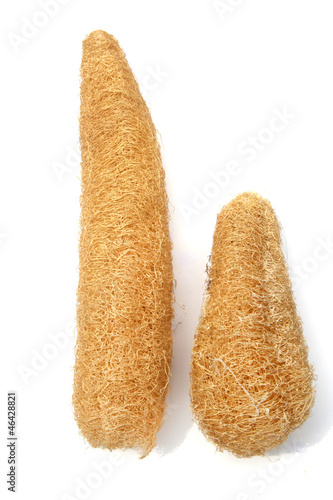 Obraz na płótnie Natural Luffa sponge.isolated on white background