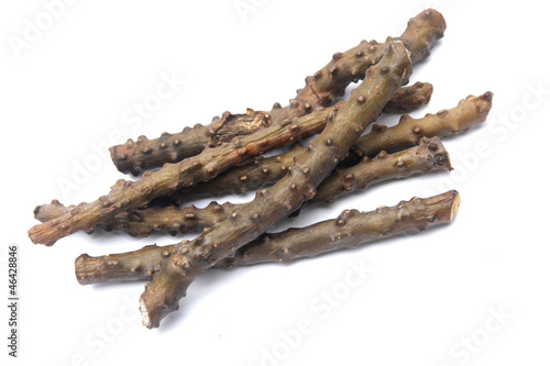 Tinospora crispa ( Guduchi ) herbs in white background .