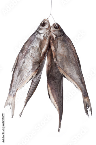 A bunch of stockfish