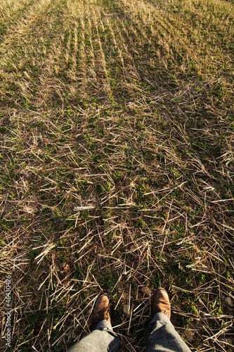 Farmer's feet photo