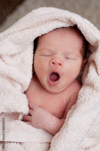 Sweet yawning