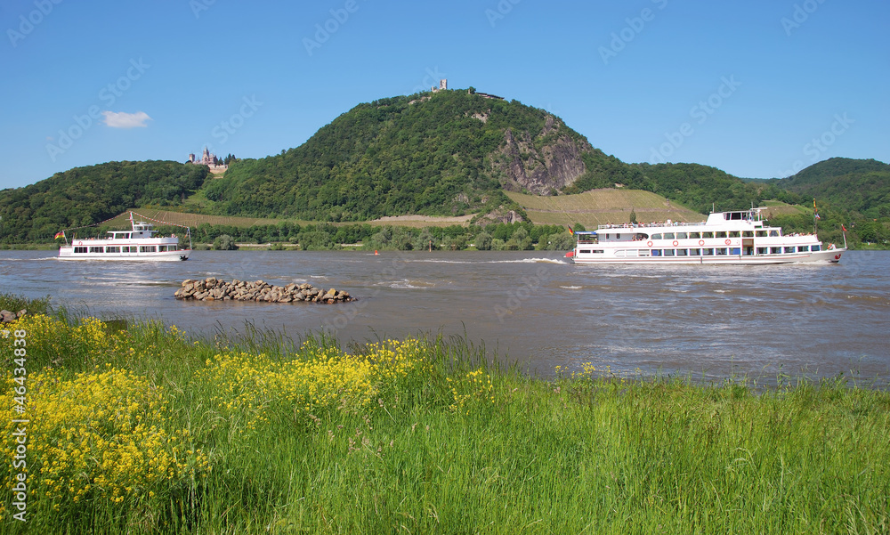 der berühmte Drachenfels am Rhein bei Königswinter