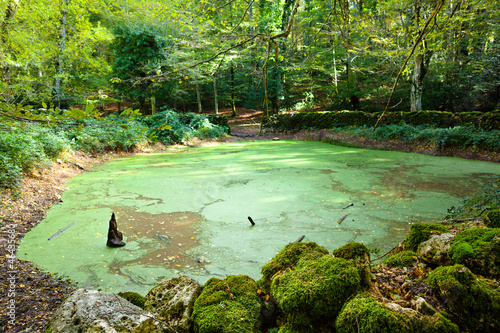"Lago D'Otri", a Pond in "Foresta Umbra" - Apulia, Italy