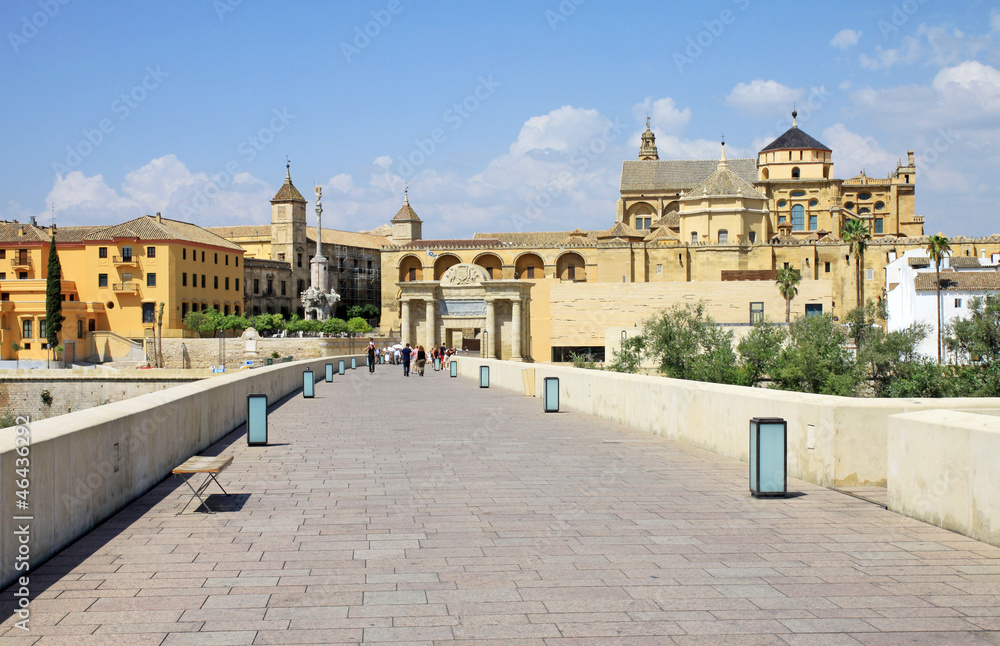 Mezquita Cathedral and Roman Bridge - Cordoba - Spain