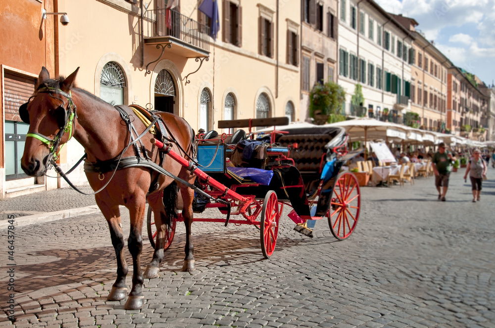 Horse and coach waiting at Piazza Navona Horse and coach waiting at Piazza Navona