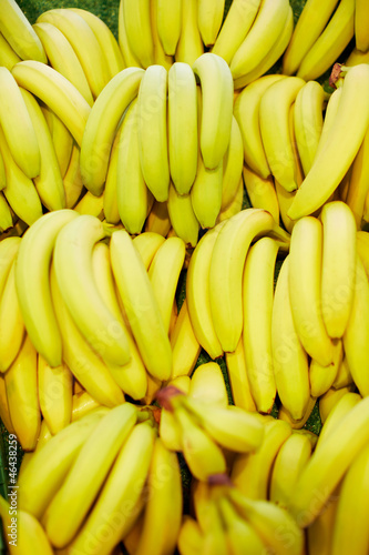 Viele Bananen im Supermarkt