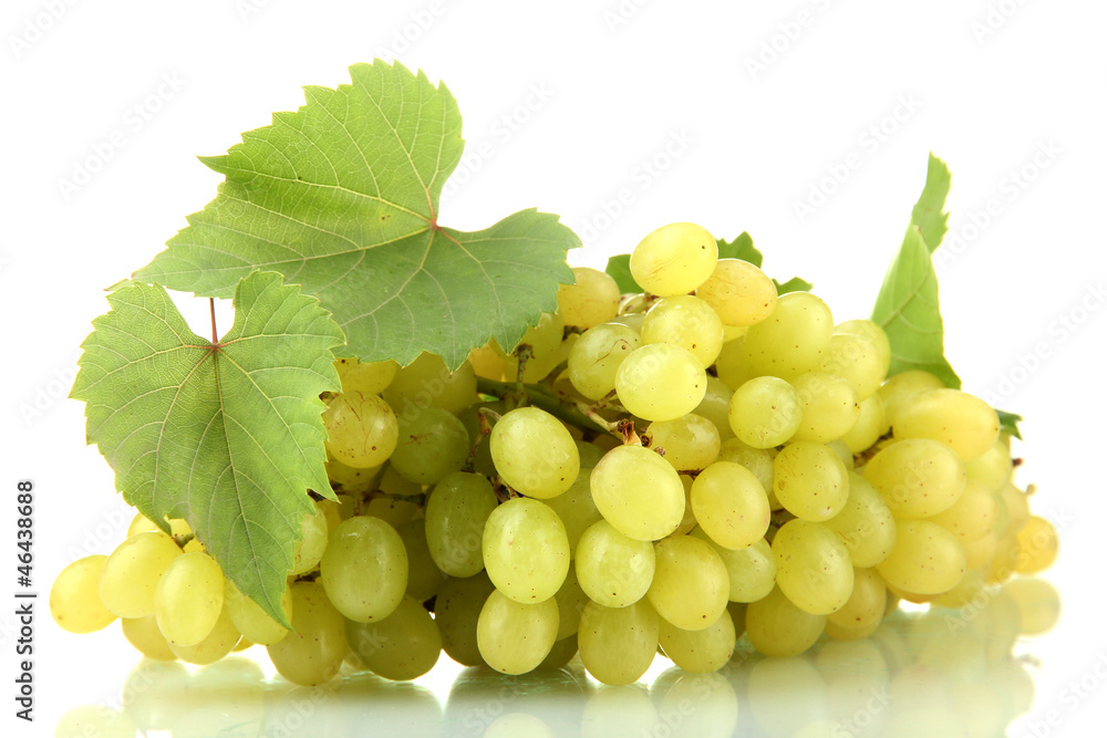 ripe sweet grapes isolated on white. ripe sweet grapes isolated on white.